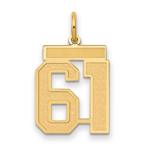 14k-medium-satin-number-61-charm-SolomonJeweler-Wichita-KS-CustomJewelry