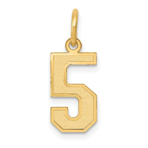 14k-small-satin-number-5-charm-SolomonJeweler-Wichita-KS-CustomJewelry
