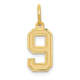 14k-small-satin-number-9-charm-SolomonJeweler-Wichita-KS-CustomJewelry