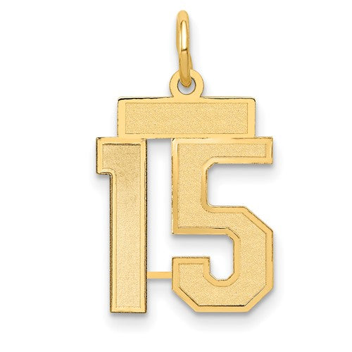 14k-small-satin-number-15-charm-SolomonJeweler-Wichita-KS-CustomJewelry