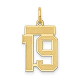 14k-small-satin-number-19-charm-SolomonJeweler-Wichita-KS-CustomJewelry