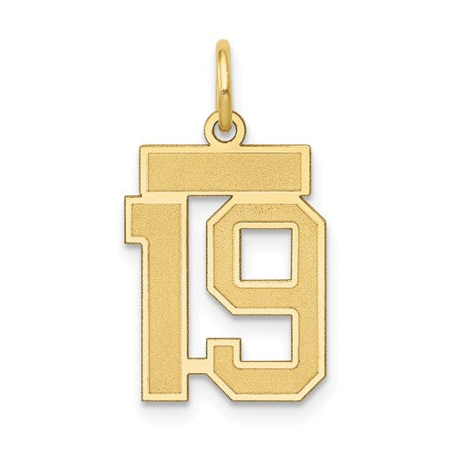 14k-small-satin-number-19-charm-SolomonJeweler-Wichita-KS-CustomJewelry