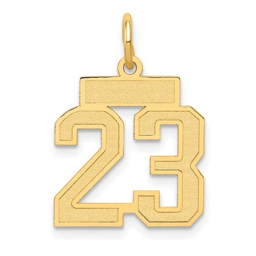 14k-small-satin-number-23-charm-SolomonJeweler-Wichita-KS-CustomJewelry