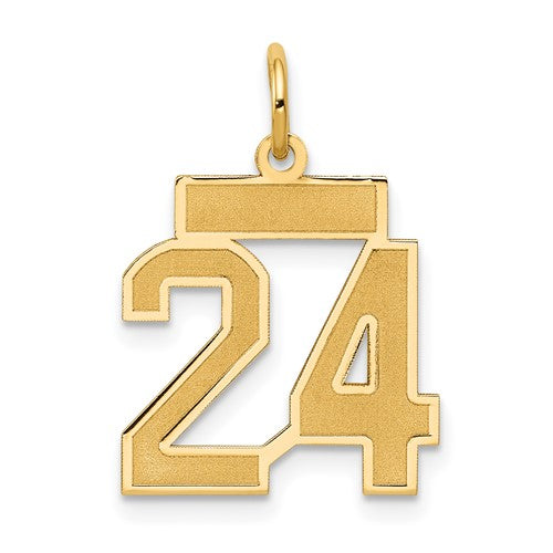 14k-small-satin-number-24-charm-SolomonJeweler-Wichita-KS-CustomJewelry