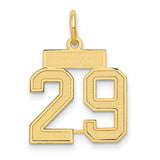 14k-small-satin-number-29-charm-SolomonJeweler-Wichita-KS-CustomJewelry