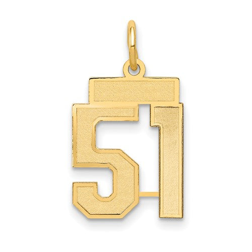 14k-small-satin-number-51-charm-SolomonJeweler-Wichita-KS-CustomJewelry