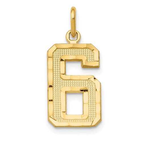 14k-medium-diamond-cut-number-6-charm-SolomonJeweler-Wichita-KS-CustomJewelry