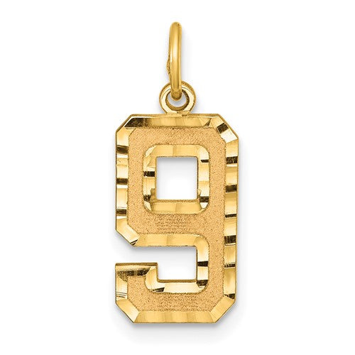 14k-medium-diamond-cut-number-9-charm-SolomonJeweler-Wichita-KS-CustomJewelry