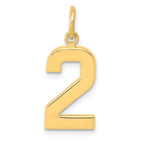 14k-medium-polished-number-2-charm-SolomonJeweler-Wichita-KS-CustomJewelry