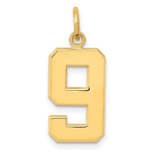 14k-medium-polished-number-9-charm-SolomonJeweler-Wichita-KS-CustomJewelry