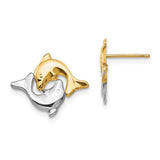 14k-madi-k-w-rhodium-dolphin-post-earrings-SolomonJeweler-Wichita-KS-CustomJewelry