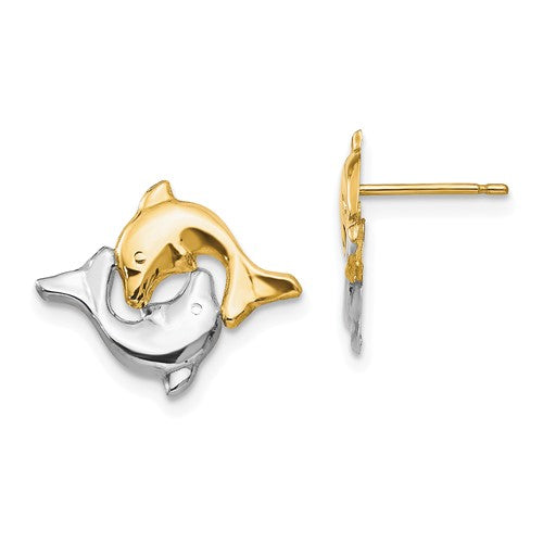 14k-madi-k-w-rhodium-dolphin-post-earrings-SolomonJeweler-Wichita-KS-CustomJewelry