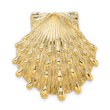 14k-lions-paw-shell-slide-SolomonJeweler-Wichita-KS-CustomJewelry