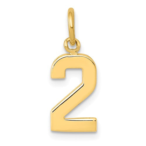 14k-small-polished-number-2-charm-SolomonJeweler-Wichita-KS-CustomJewelry