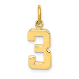 14k-small-polished-number-3-charm-SolomonJeweler-Wichita-KS-CustomJewelry