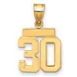 14k gold small polished number 30 charm, shiny pendant for jewelry, from Solomon Jewelers.