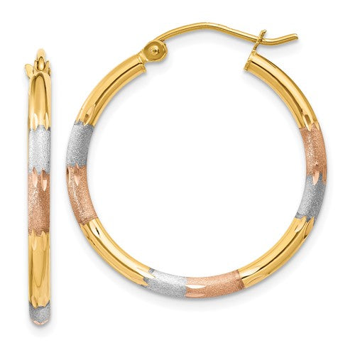 14k-w-white-and-rose-rhodium-2mm-satin-d-c-hoop-earrings-SolomonJeweler-Wichita-KS-CustomJewelry