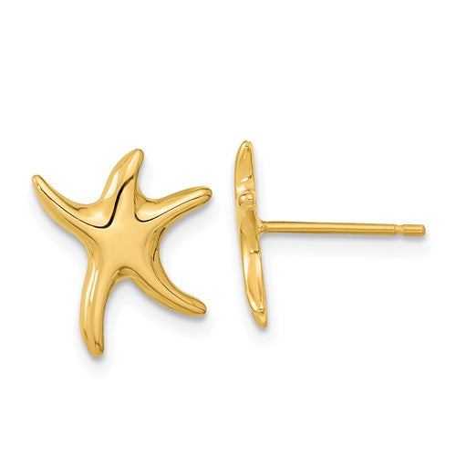 14k-polished-starfish-post-earrings-SolomonJeweler-Wichita-KS-CustomJewelry
