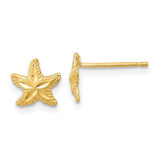 14k-polished-diamond-cut-starfish-post-earrings-SolomonJeweler-Wichita-KS-CustomJewelry