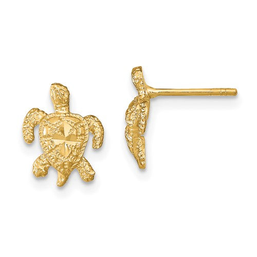 14k-polished-diamond-cut-sea-turtle-post-earrings-SolomonJeweler-Wichita-KS-CustomJewelry