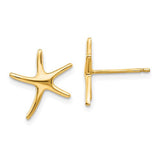 14k-starfish-post-earrings-SolomonJeweler-Wichita-KS-CustomJewelry