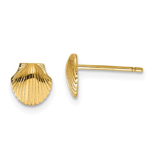 14k-mini-scallop-shell-post-earrings-SolomonJeweler-Wichita-KS-CustomJewelry