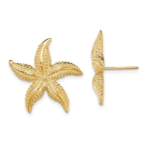 14k-2-d-polished-and-textured-starfish-post-earrings-SolomonJeweler-Wichita-KS-CustomJewelry