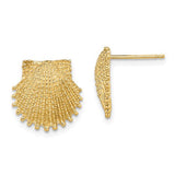 14k-beaded-scallop-shell-post-earrings-SolomonJeweler-Wichita-KS-CustomJewelry