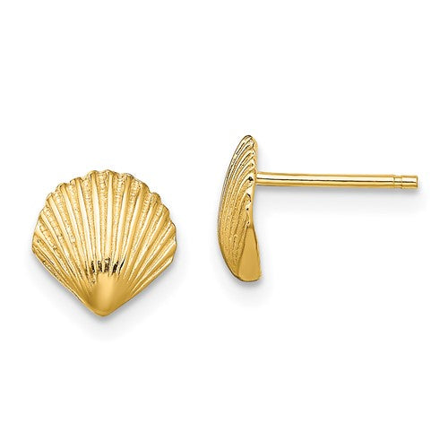 14k-scallop-shell-post-earrings-SolomonJeweler-Wichita-KS-CustomJewelry
