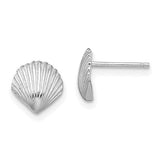 14k-white-gold-scallop-shell-post-earrings-SolomonJeweler-Wichita-KS-CustomJewelry