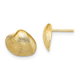 14k-clam-shell-post-earrings-SolomonJeweler-Wichita-KS-CustomJewelry