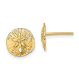 14k-polished-mini-sand-dollar-post-earrings-SolomonJeweler-Wichita-KS-CustomJewelry