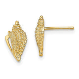14k-mini-conch-shell-post-earrings-SolomonJeweler-Wichita-KS-CustomJewelry