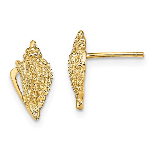 14k-mini-conch-shell-post-earrings-SolomonJeweler-Wichita-KS-CustomJewelry