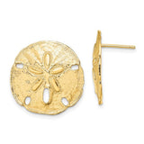 14k-polished-sand-dollar-post-earrings-SolomonJeweler-Wichita-KS-CustomJewelry