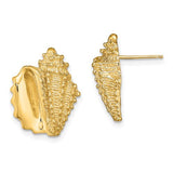 14k-2-d-conch-shell-post-earrings-SolomonJeweler-Wichita-KS-CustomJewelry