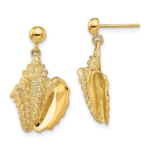 14k-2-d-conch-shell-dangle-post-earrings-SolomonJeweler-Wichita-KS-CustomJewelry