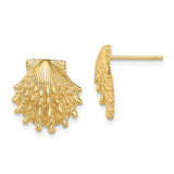 14k-lions-paw-shell-post-earrings-SolomonJeweler-Wichita-KS-CustomJewelry