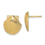14k-2-d-polished-scallop-shell-post-earrings-SolomonJeweler-Wichita-KS-CustomJewelry