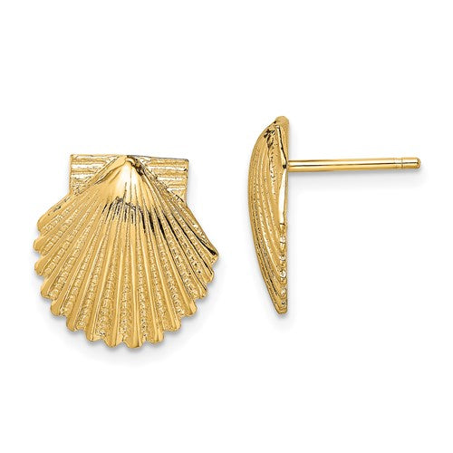 14k-2-d-polished-scallop-shell-post-earrings-SolomonJeweler-Wichita-KS-CustomJewelry