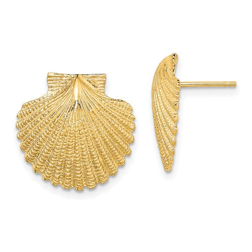 14k-2-d-textured-scallop-shell-post-earrings-SolomonJeweler-Wichita-KS-CustomJewelry