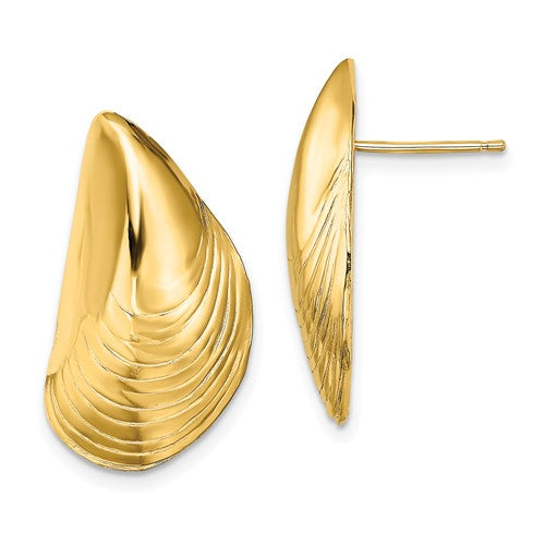 14k-polished-mussel-shell-post-earrings-SolomonJeweler-Wichita-KS-CustomJewelry