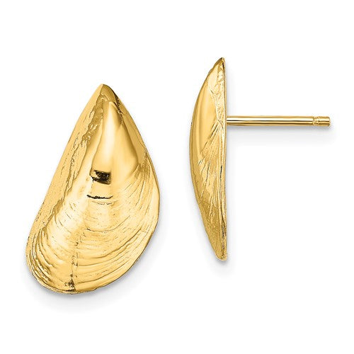 14k-mussel-shell-post-earrings-SolomonJeweler-Wichita-KS-CustomJewelry