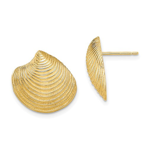14k-2-d-textured-and-polished-clam-shell-post-earrings-SolomonJeweler-Wichita-KS-CustomJewelry