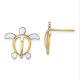 14k-w-rhodium-sea-turtle-post-earrings-SolomonJeweler-Wichita-KS-CustomJewelry