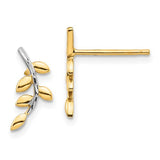 14k-white-rhodium-leaves-post-earrings-SolomonJeweler-Wichita-KS-CustomJewelry
