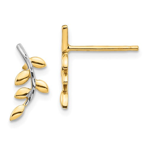 14k-white-rhodium-leaves-post-earrings-SolomonJeweler-Wichita-KS-CustomJewelry