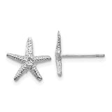 14k-white-gold-starfish-post-earrings-SolomonJeweler-Wichita-KS-CustomJewelry