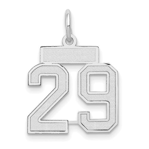 14kw-small-satin-number-29-charm-SolomonJeweler-Wichita-KS-CustomJewelry