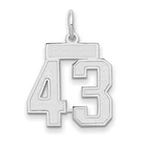 14kw-small-satin-number-43-charm-SolomonJeweler-Wichita-KS-CustomJewelry